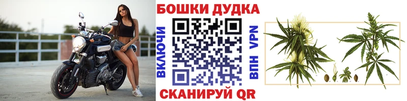 Бошки Шишки семена  цены   Курганинск 